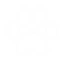 paw icon