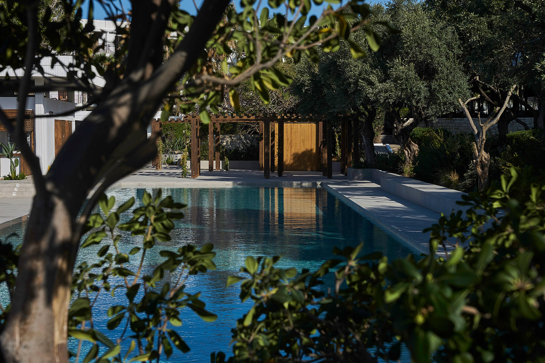 Almyra Hotel - Infinity Pool